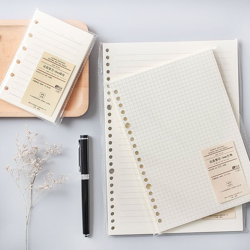 Grille de ligne A5 B5, 20 trou - A5 Spiral Dotted Grid Notebook avis et prix
